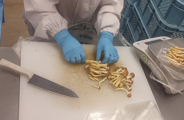 写真：加工している様子