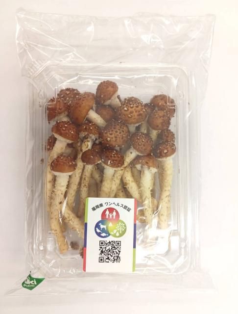 写真：パックに入っているすぎたけ