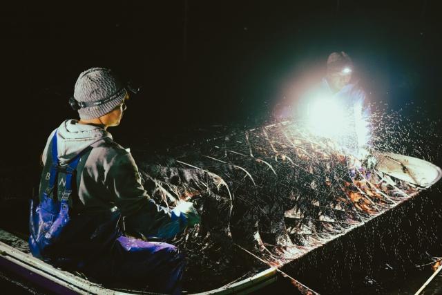 写真：夜中に作業が行われている様子