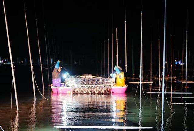 写真：暗い海の中ライトに照らされる船