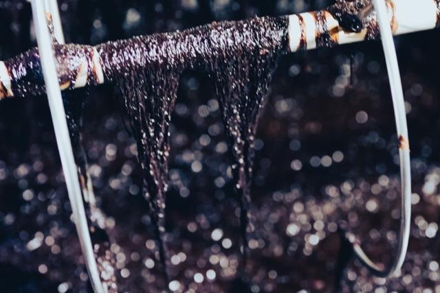 写真：養殖されているのり