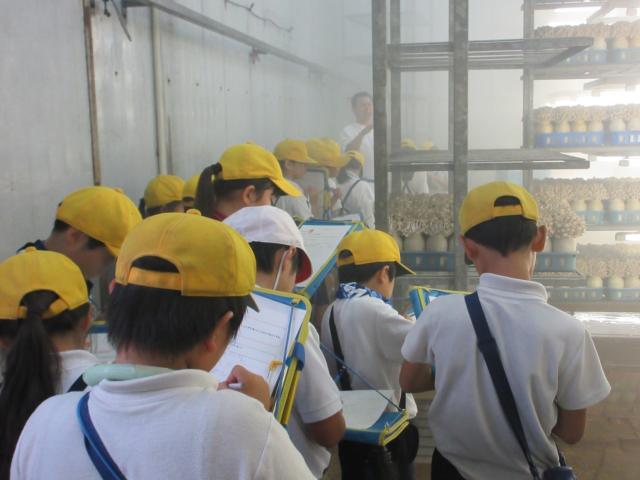 写真：小学生が見学に来ている様子
