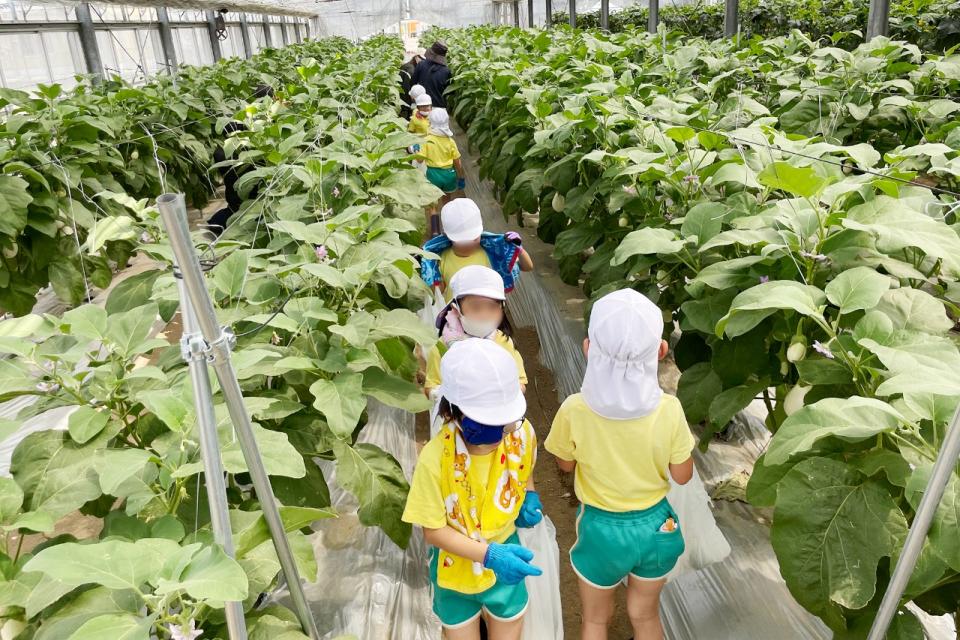 写真：収穫体験に訪れるこども