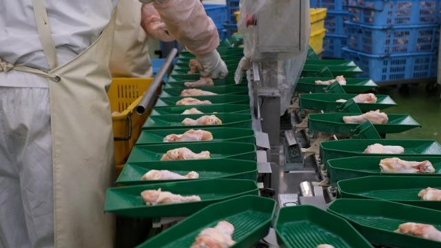 生産ラインにのるはかた地どり