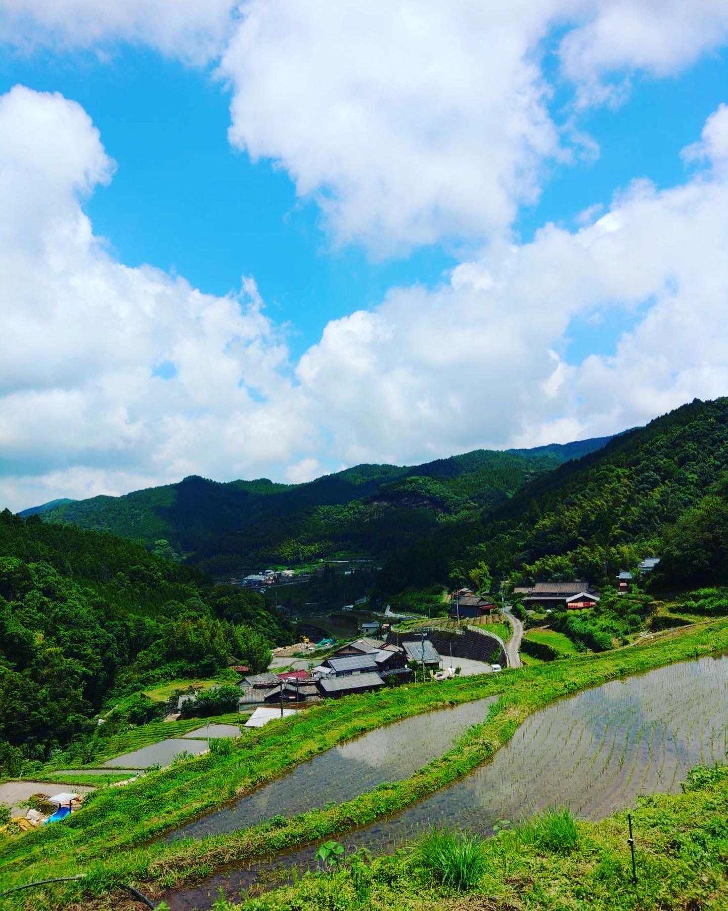 お茶工場と棚田米