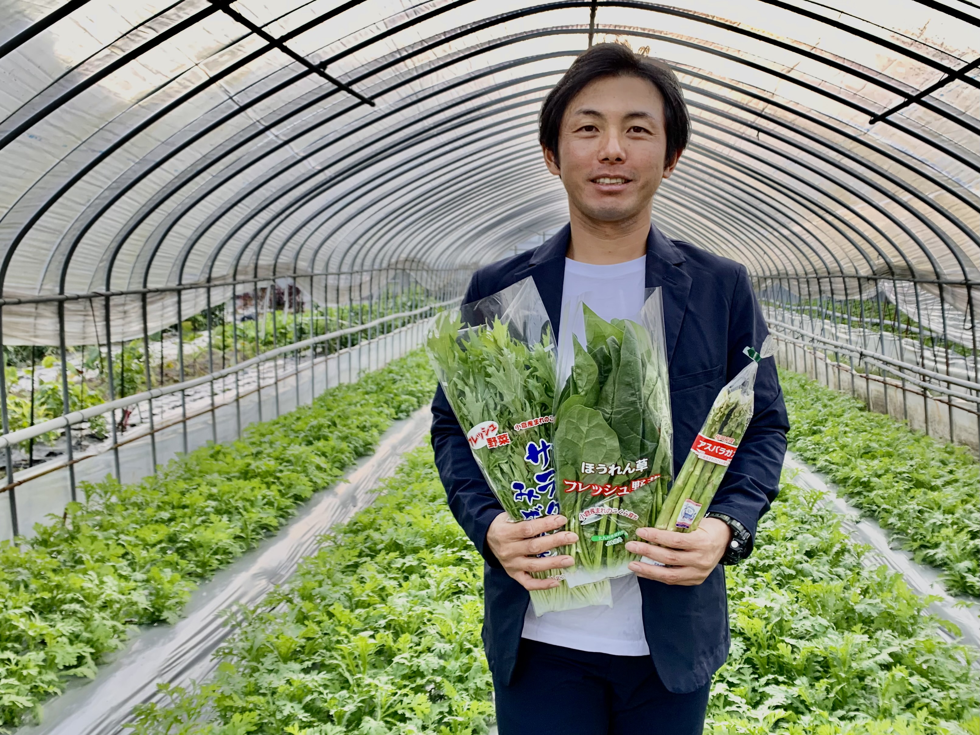 藤堂農園は、「ハートフルな食と農」をテーマに、葉物野菜を中心に栽培しています。